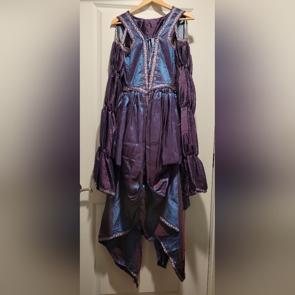 Custom Tailored Iridescent Medevial Fantasy Gown